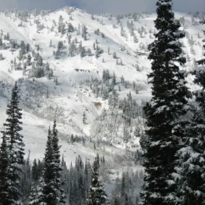 More early season Alta