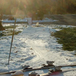 Front yard in november