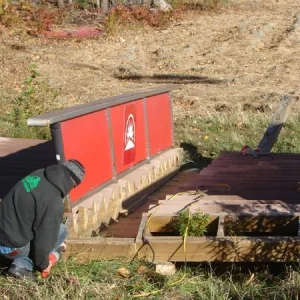 More meaning than you think