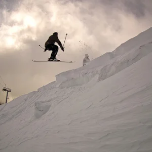 Early season timbo cornas