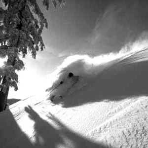 Powder to the people