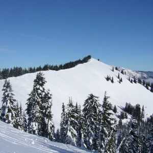 About to get real hiiii