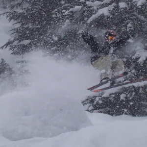 Screw the tooth fairy