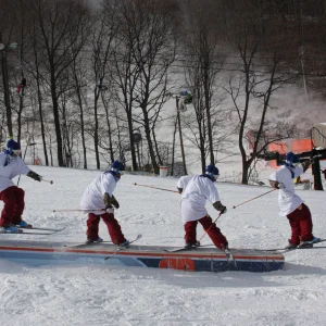 Cab 270 pretzel 270 out