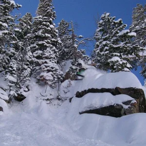 Playing on the pillows