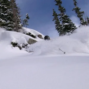 Yummy powder... eat up