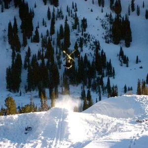 Schmidty upside down