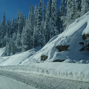 View from the car up wolf creek pass this saturday