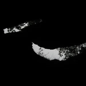 Looking up in the cave