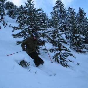 Skiing the trees