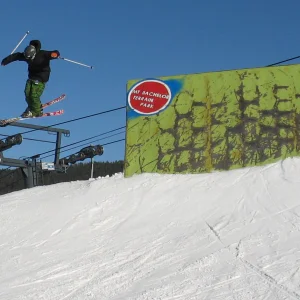 Wallrizzle foshizzle