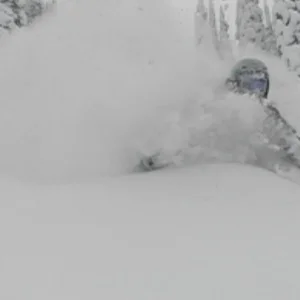 Powder