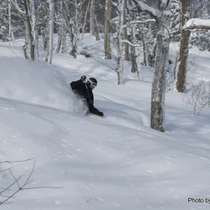JayPeak Powder - 4 of 12