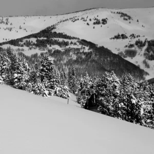 Dropping the cornice outside Earl's Bowl