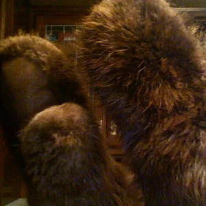 Beaver mittens!