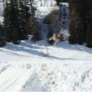 Switch cork 540Â° little mute