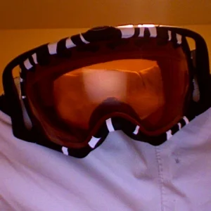 Custom Zebra Goggles (Half Done)