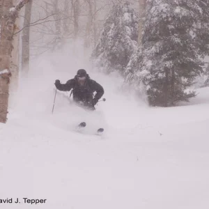 Easter Storm In VT - 6 of 6