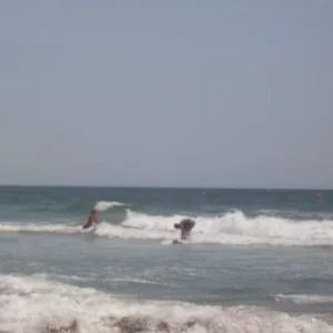 Surfin
