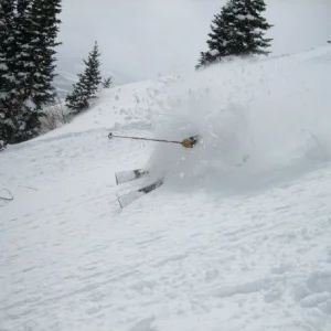 Playing in the White Room