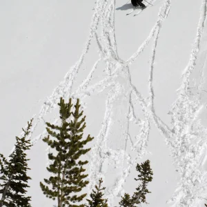 Hot Pow in Grizzly