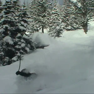 Face Shot Jackson Hole