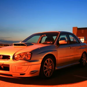 Stout's STI