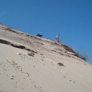 Dune skiing