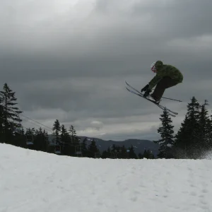 Flips, spins and tigers oh my