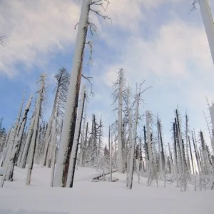 Heavenly backcountry