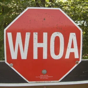 WHOA