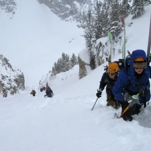 Spyder update 4 of 5