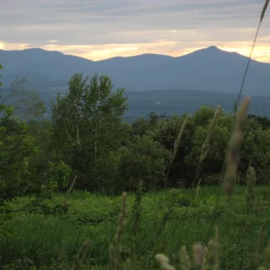 Meadow in Vermont