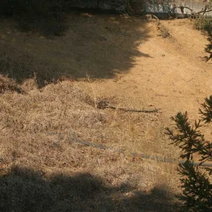 Oakley Test - No Lens