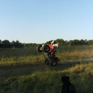 12'o clock no hander