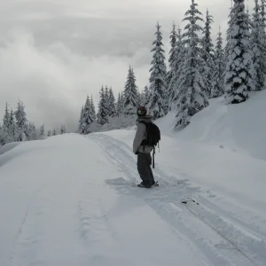 On Looking from the sled tracks