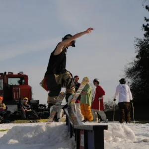 Fastplant 270 pretzel 2