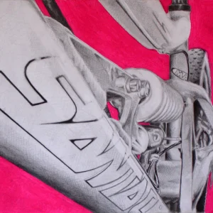 Summer Mt. Snow - Downhill Bike SC Bullit