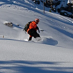 Another shot with better cropping