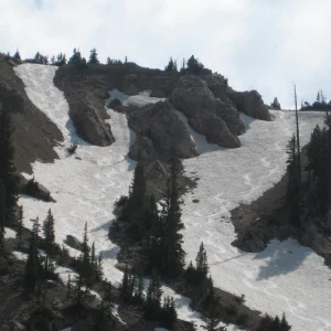 Tracks on sunset peak
