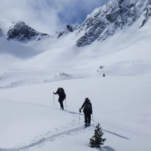 Chicks Breaking Trail