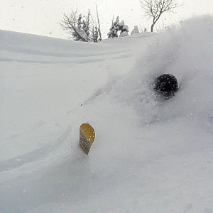 Telemark= 1/2 binder 2x faceshots