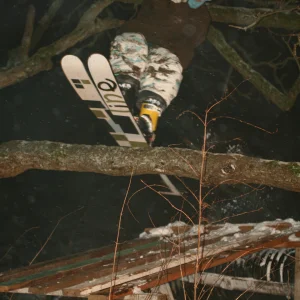 Kellin Lipp tree tappen