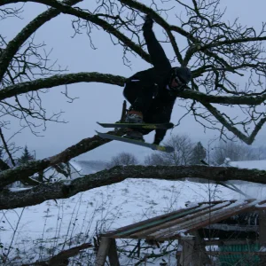 Kevy playing with trees