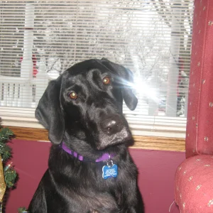 My best bud