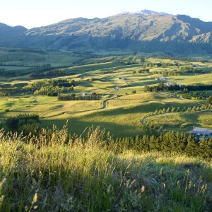 Queenstown photography - 6 of 32