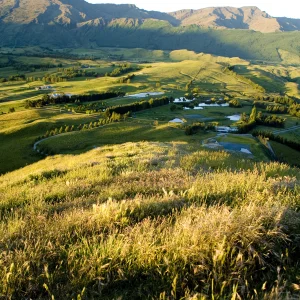 Queenstown photography - 9 of 32