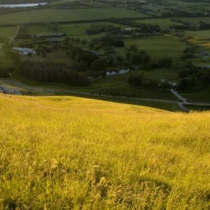 Queenstown photography - 11 of 32