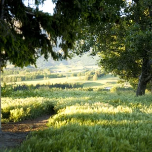 Queenstown photography - 16 of 24