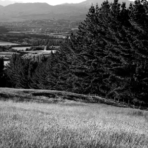 Queenstown photography - 24 of 24